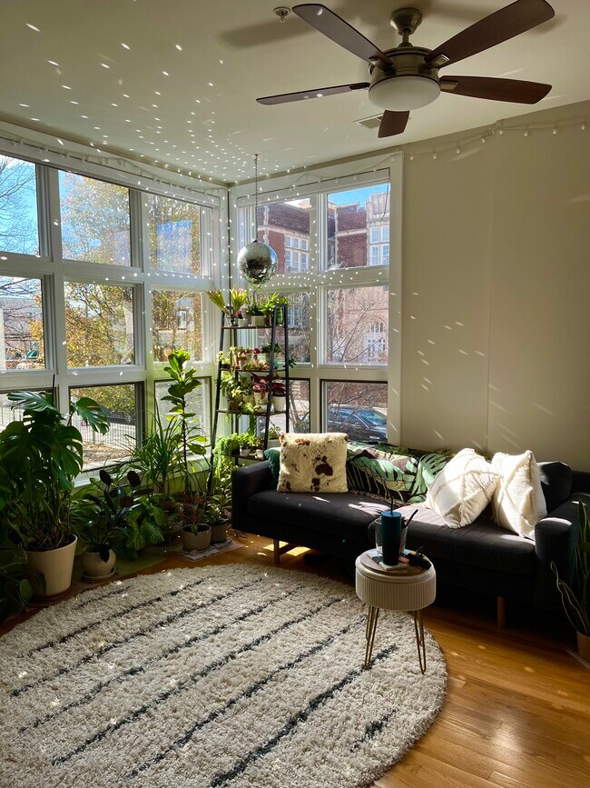 3577 Warder St NW, Unit 3577 Warder St NW