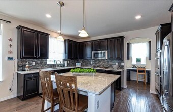 2638 Ambience Ln in Castle Rock, CO - Building Photo - Building Photo