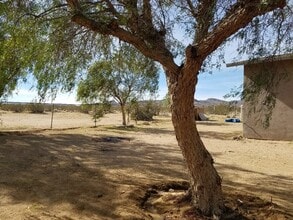 1650 Cambria Ave in Landers, CA - Building Photo - Building Photo