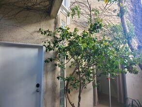 676 San Juan Ave, Unit #A in Venice, CA - Foto de edificio - Building Photo