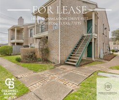 14600 Fonmeadow Dr in Houston, TX - Building Photo