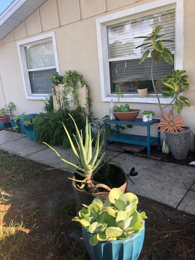 2034 Kai Dr in Sarasota, FL - Building Photo - Building Photo