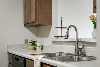Emerald Pointe Apartments in South Bend, IN - Foto de edificio - Building Photo