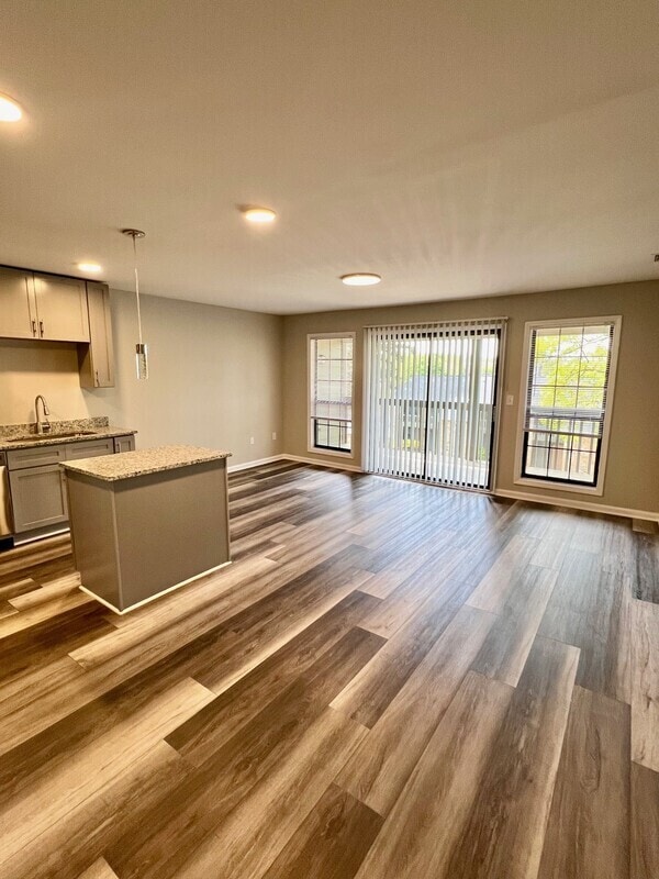 593 Star Light Dr in Fort Mill, SC - Building Photo - Building Photo