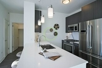 480 N Park Dr in Chicago, IL - Foto de edificio - Building Photo