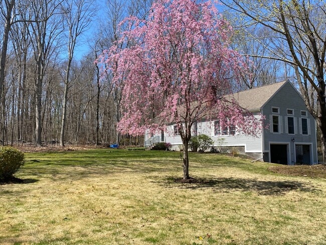 property at 437 Green Hill Rd