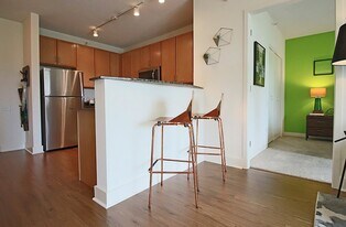 919 S Clark St in Chicago, IL - Building Photo