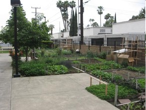 Community Garden Towers East & West in Orange, CA - Building Photo - Building Photo