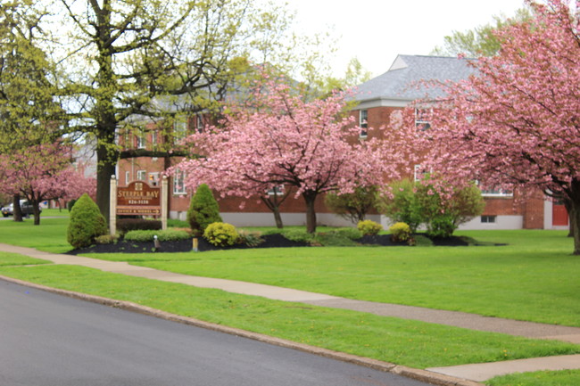 Steeple Bay Estates