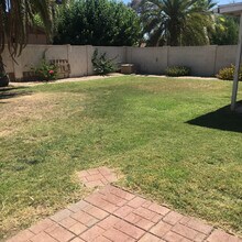 3747 E Winchcomb Dr in Phoenix, AZ - Building Photo - Building Photo