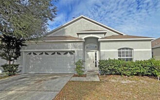 24925 Vintage Ct in Lutz, FL - Building Photo