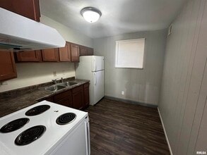 928 S Stewart St in Creve Coeur, IL - Building Photo - Building Photo