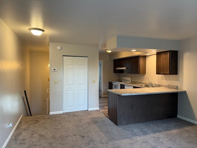 1040 S Lincoln Rd in Mt. Pleasant, MI - Building Photo - Building Photo