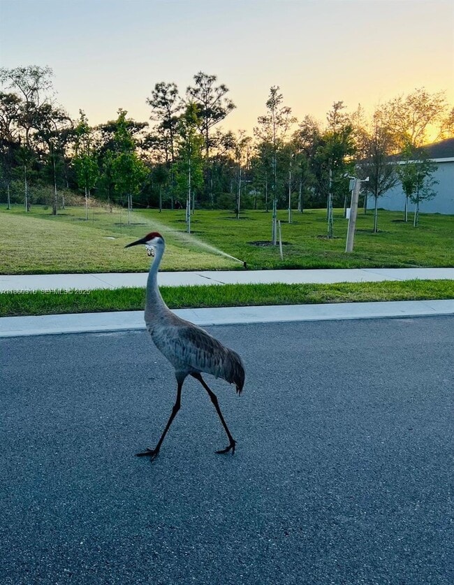 property at 1121 172nd Ct E