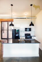 1509 W 15th St in Chicago, IL - Building Photo - Building Photo