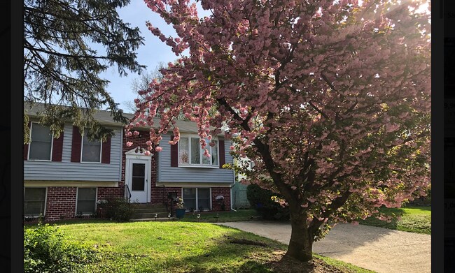 property at 4821 Fox St