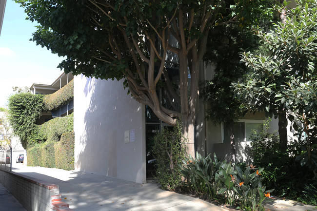 535 Kelton Ave in Los Angeles, CA - Building Photo - Building Photo