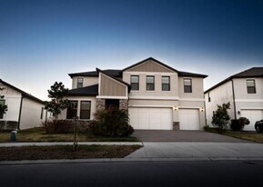 21397 Snowy Orchid Terrace in Land O Lakes, FL - Building Photo