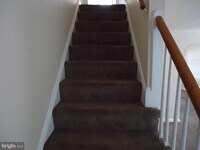 919 Coleridge Rd photo'