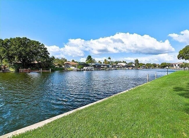 6326 Grand Bahama Cir in Tampa, FL - Building Photo - Building Photo