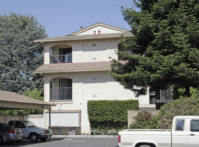 Willow Tree Apartments in San Leandro, CA - Foto de edificio - Building Photo