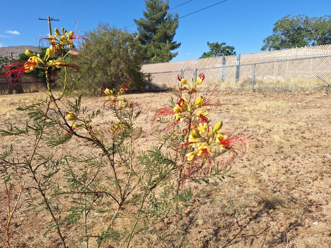 7601 Shawnee Trl in Yucca Valley, CA - Building Photo - Building Photo