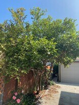 1619 W 11th Pl, Unit 1617 W. 11th Pl in Los Angeles, CA - Building Photo