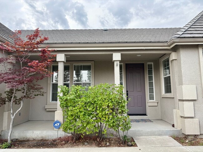 3308 Forest View Ln in Reno, NV - Building Photo - Building Photo