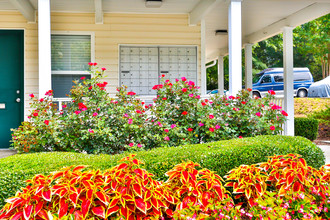 Brighton Place Apartments in Charlotte, NC - Building Photo - Building Photo