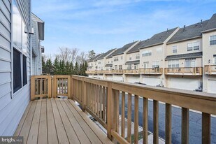 4935 Chaste Tree Pl in Woodbridge, VA - Building Photo