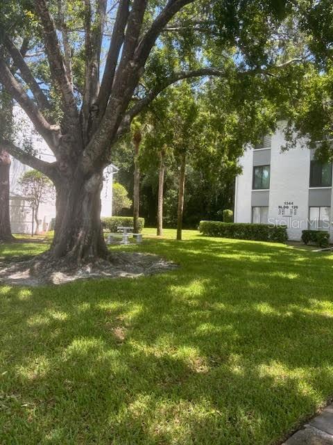 1344 Pine Ridge Cir E in Tarpon Springs, FL - Foto de edificio - Building Photo