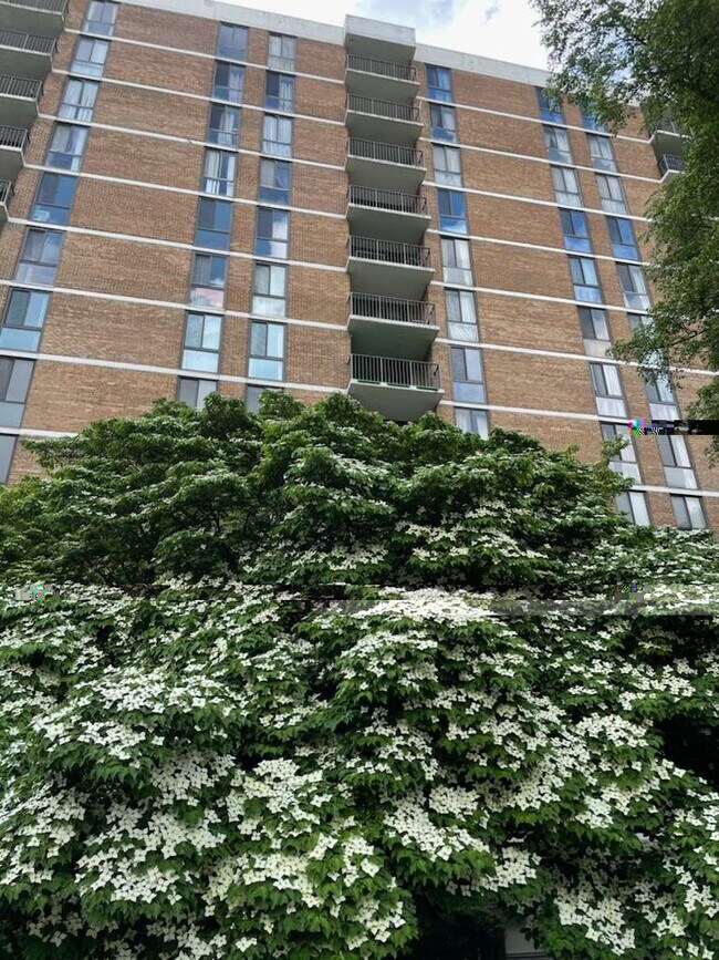 2300 Pimmit Dr, Unit 1103 in Falls Church, VA - Building Photo - Building Photo