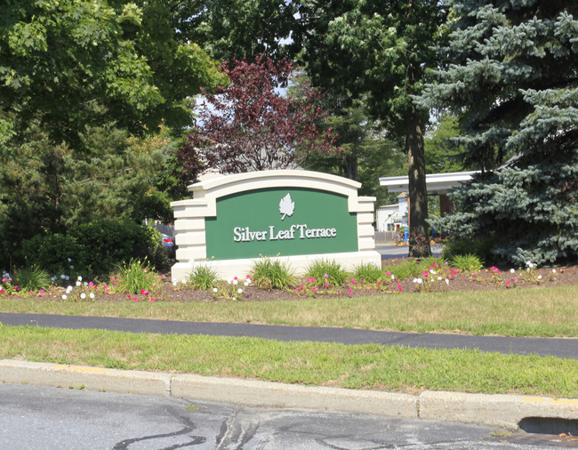 Silver Leaf Terrace in Leominster, MA - Building Photo - Other