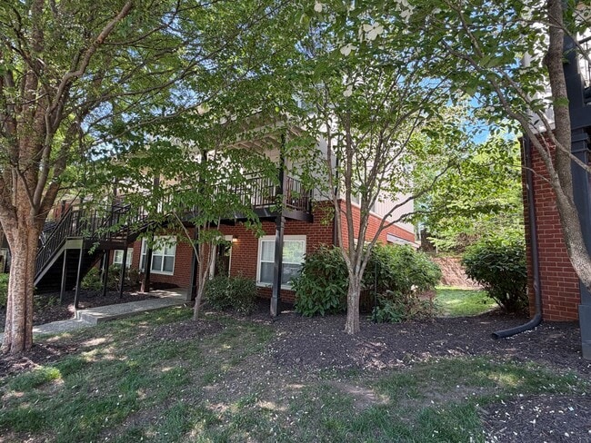 1615 Elmwood Ct in Charlottesville, VA - Building Photo - Building Photo