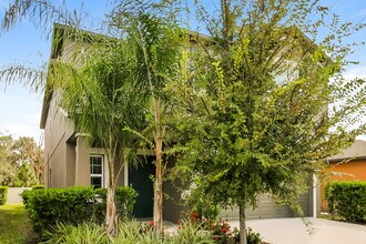 17846 Blissful Stars Dr in Lutz, FL - Building Photo - Building Photo