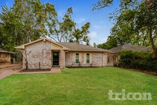 11054 Spottswood Dr in Houston, TX - Building Photo