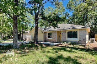61 S Circlewood Glen in Spring, TX - Building Photo