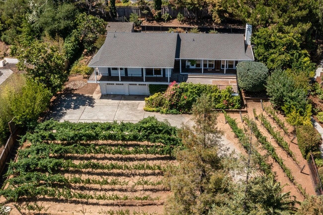 920 Stagi Ct in Los Altos, CA - Building Photo - Building Photo