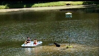 4 Coma Lk Ln in Arden, NC - Building Photo - Building Photo