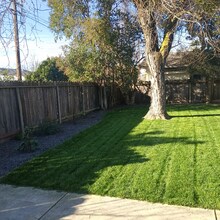 1825 College Ave in Modesto, CA - Building Photo - Building Photo