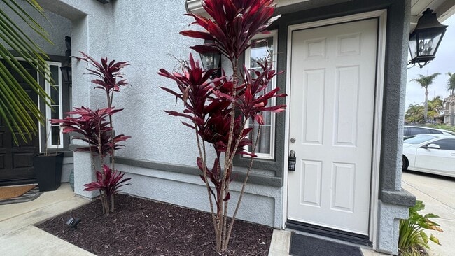 1007 Turnstone Rd in Carlsbad, CA - Building Photo - Building Photo