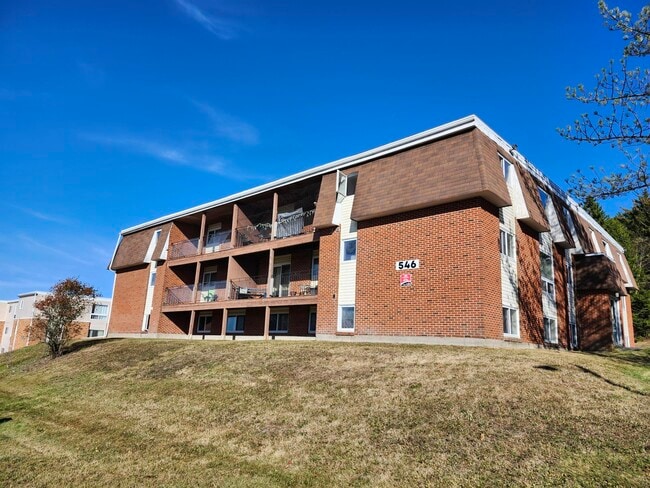 property at 546 Martha Ave