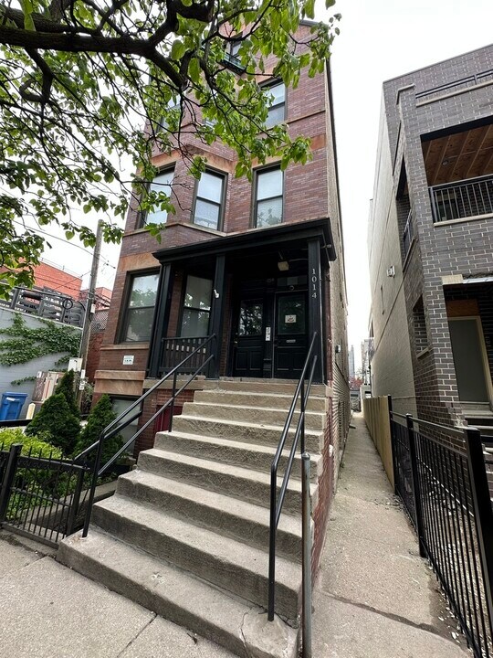 1014 N Hermitage Ave in Chicago, IL - Building Photo