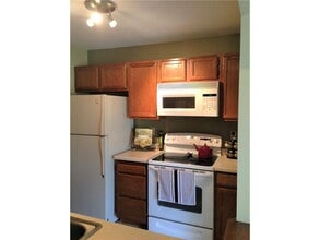 10906 Quebec Ave S in Minneapolis, MN - Building Photo - Building Photo