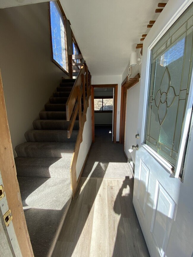 271 Gothic Rd in Mt Crested Butte, CO - Building Photo - Building Photo