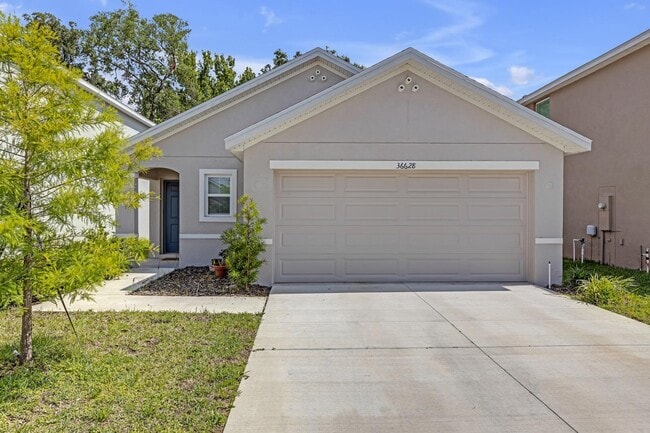 property at 36628 Spanish Rose Dr