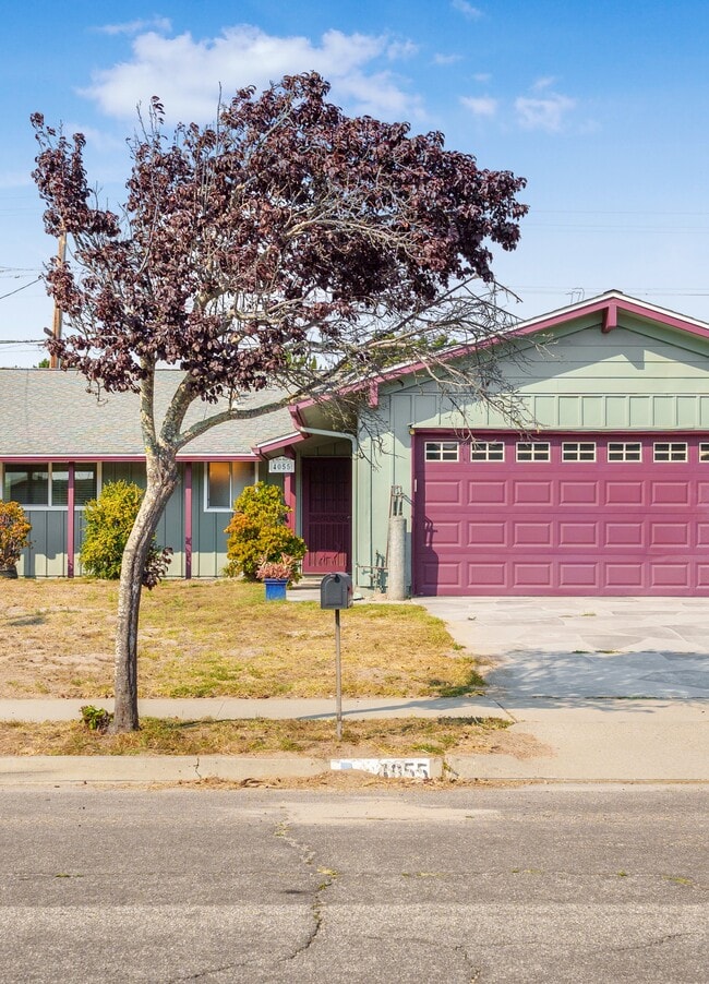 property at 4055 Draco Dr