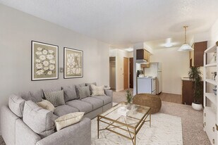 Mountain View Plaza in Longmont, CO - Building Photo