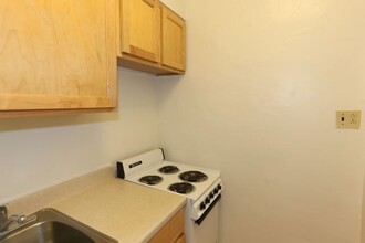 539 W Arlington Pl in Chicago, IL - Building Photo - Building Photo