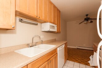 420 W Aldine Ave in Chicago, IL - Building Photo - Building Photo